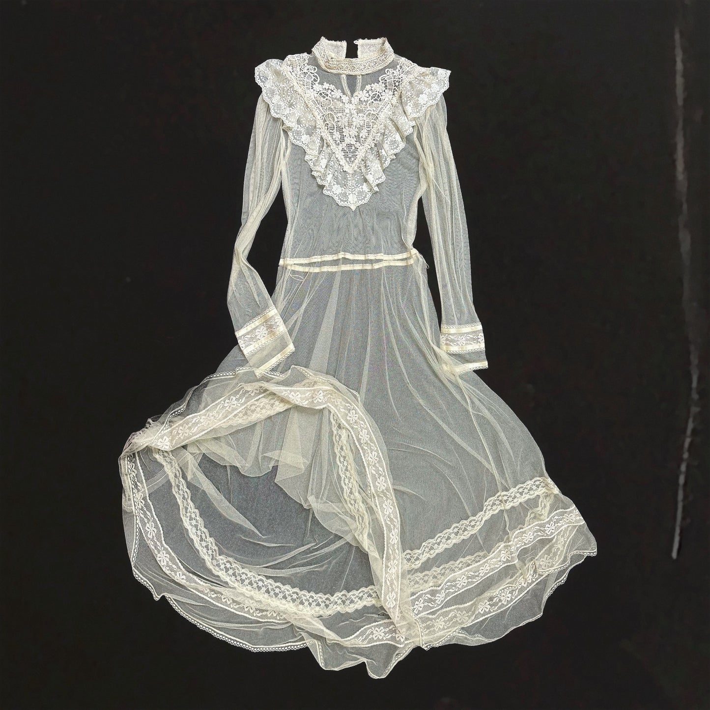 EDWARDIAN MUSE