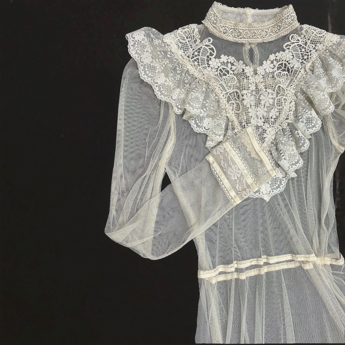 EDWARDIAN MUSE