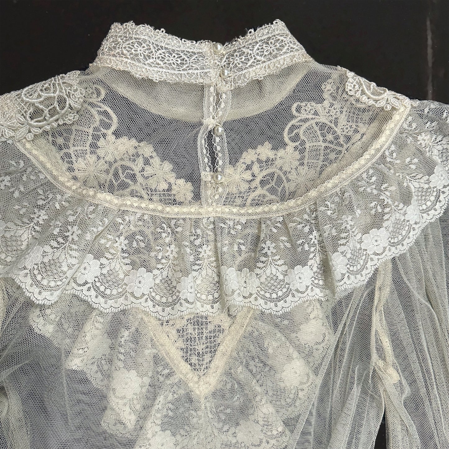 EDWARDIAN MUSE